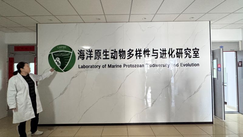 1f857f453b1ac1d4d43b8496218c8113.jpg 1f857f453b1ac1d4d43b8496218c8113.jpg