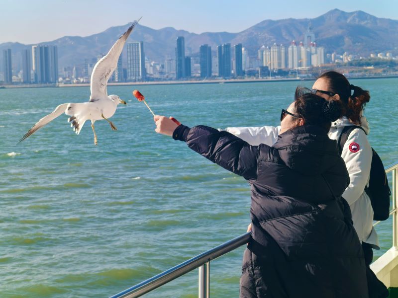 e7b39c6515cf8370037d8b9935748d81.jpg e7b39c6515cf8370037d8b9935748d81.jpg