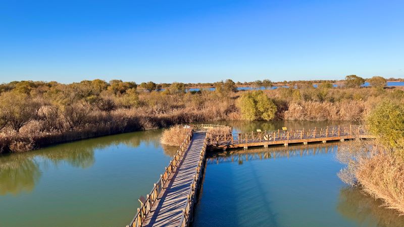 41ccbf7497fcff4f50cf88aa94362339.jpg 41ccbf7497fcff4f50cf88aa94362339.jpg