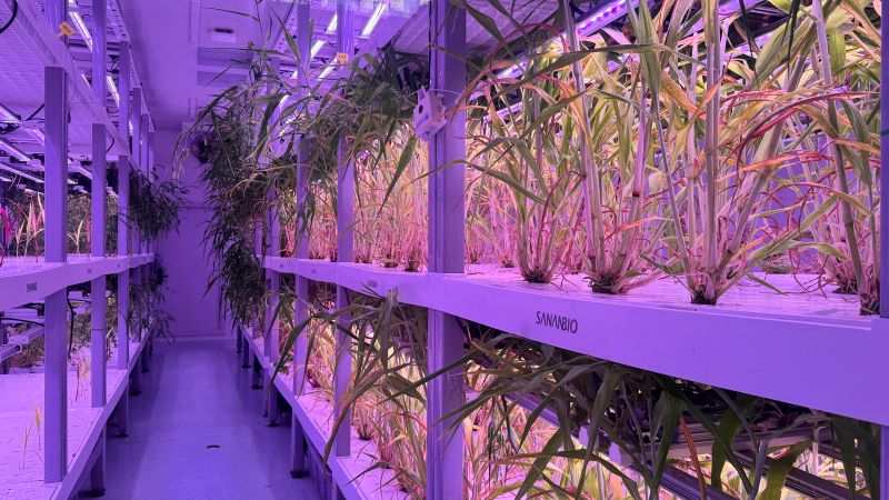 f66575e93f3cb4905bc95ab2b3745e39.jpg f66575e93f3cb4905bc95ab2b3745e39.jpg