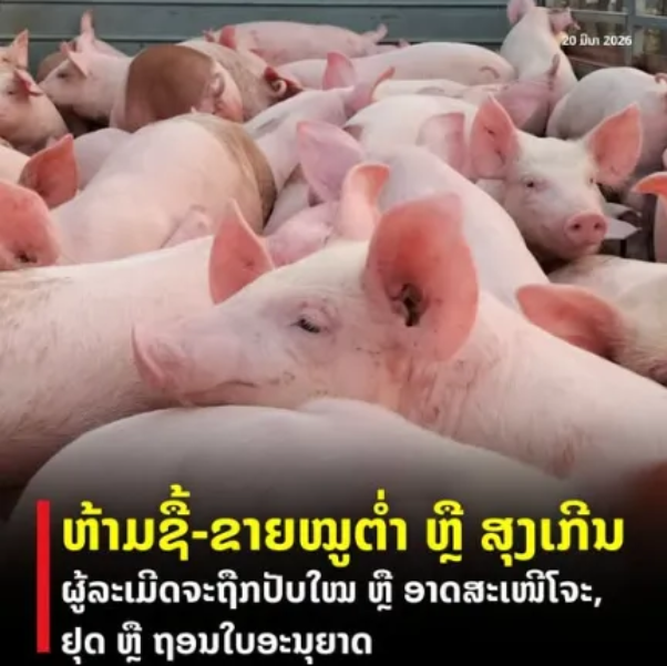 b6308703db9d03af7edba681d572a6a8.png b6308703db9d03af7edba681d572a6a8.png